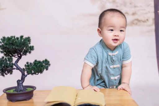 东莞可爱的企鹅宝宝